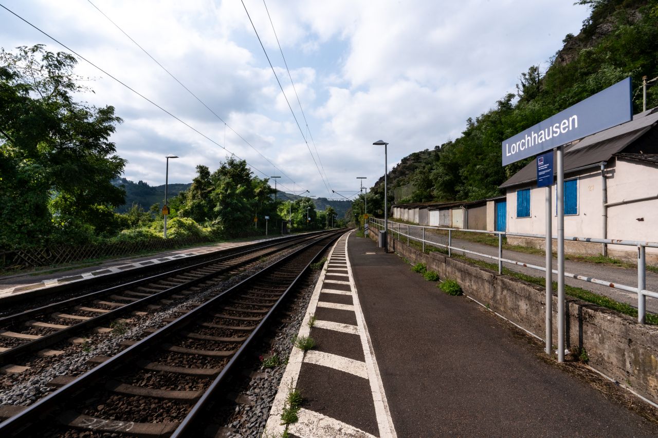Bahnsteig der Station Lorchhausen umgeben von Grün an einem bewölkten Tag.